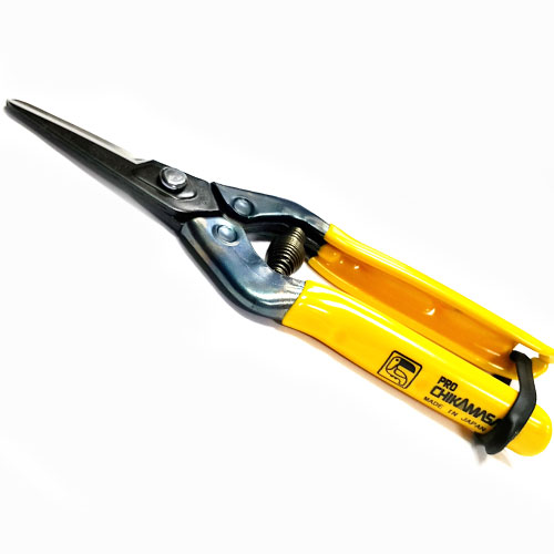 ��ǰ ������